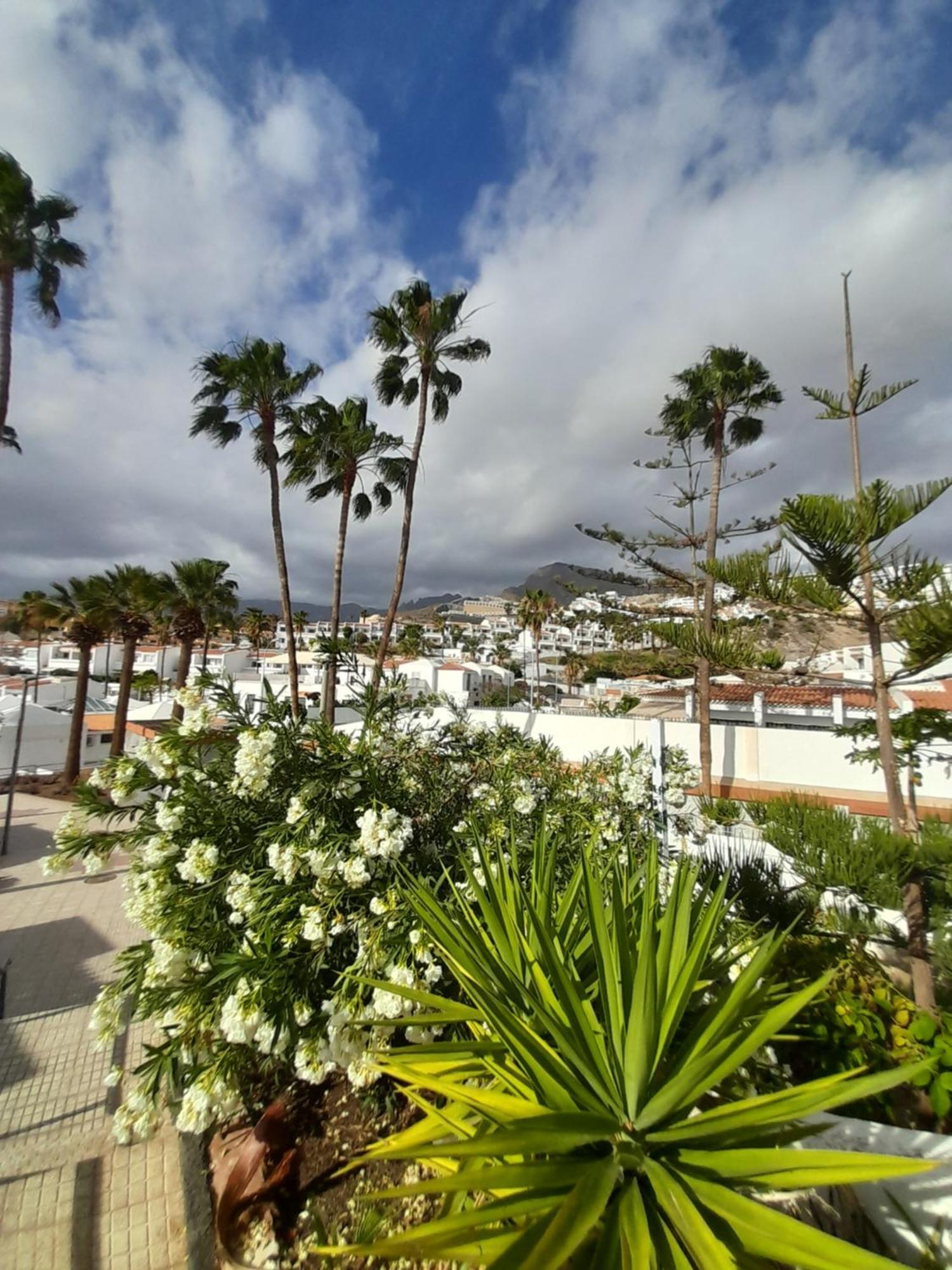 Apartments Island Village Heights Costa Adeje  Exterior foto